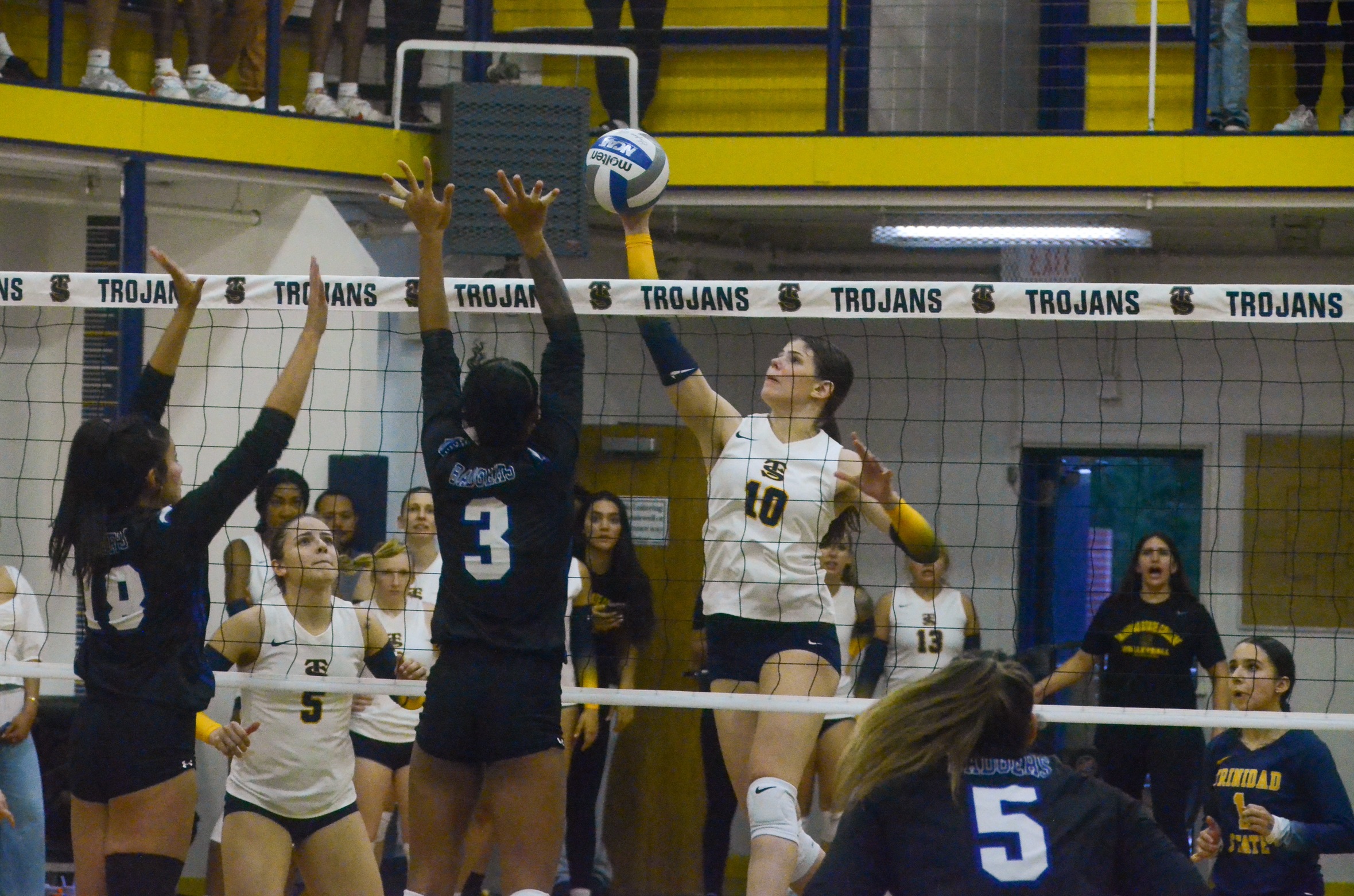 Allie_Bishop_vs_Amarillo_2024